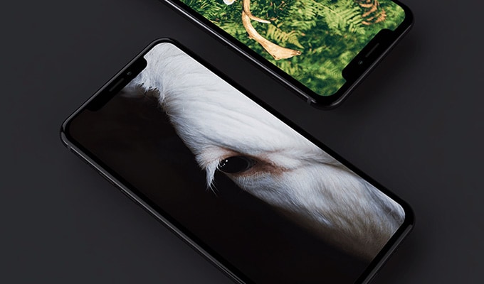 50+ Download Iphone X Mockup Xd&nbsp;PSD